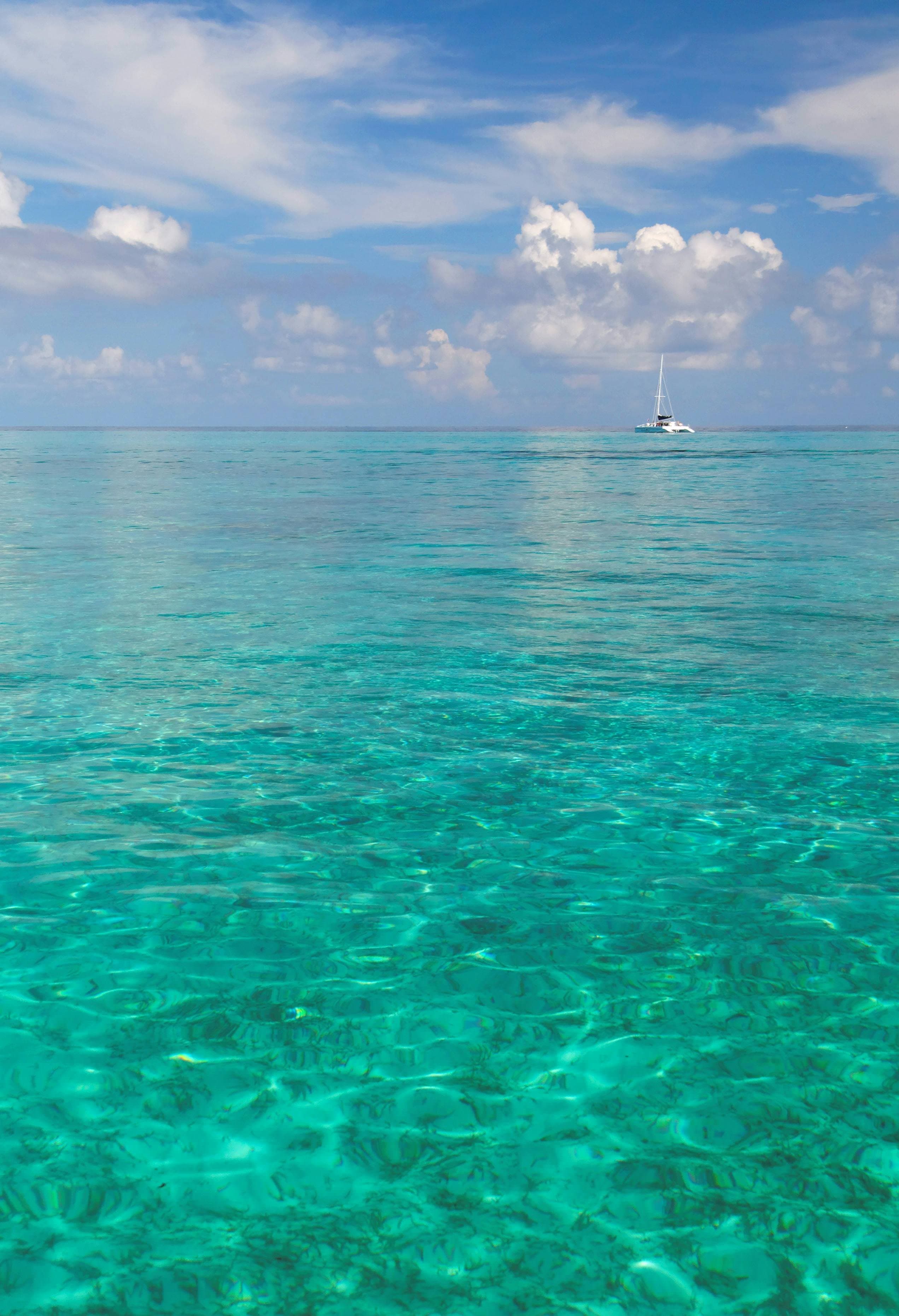 Cayman Islands Driving Test Pass Rate & Statistics