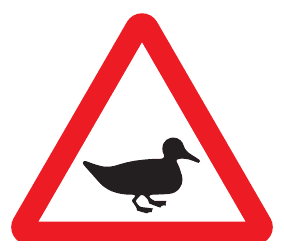 Wild fowl