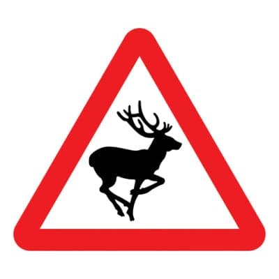Wild Animals
