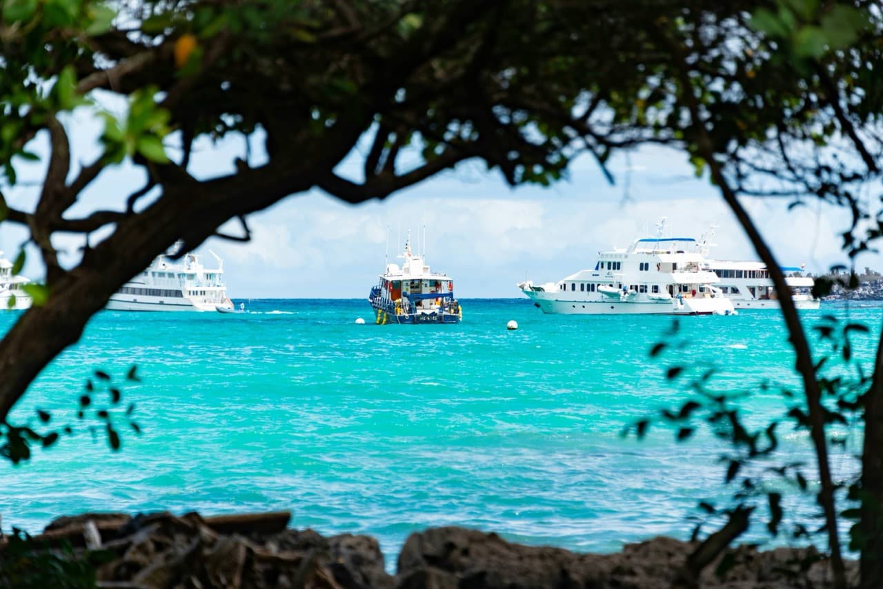 Cayman Islands Speed Limits & Road Rules Explained