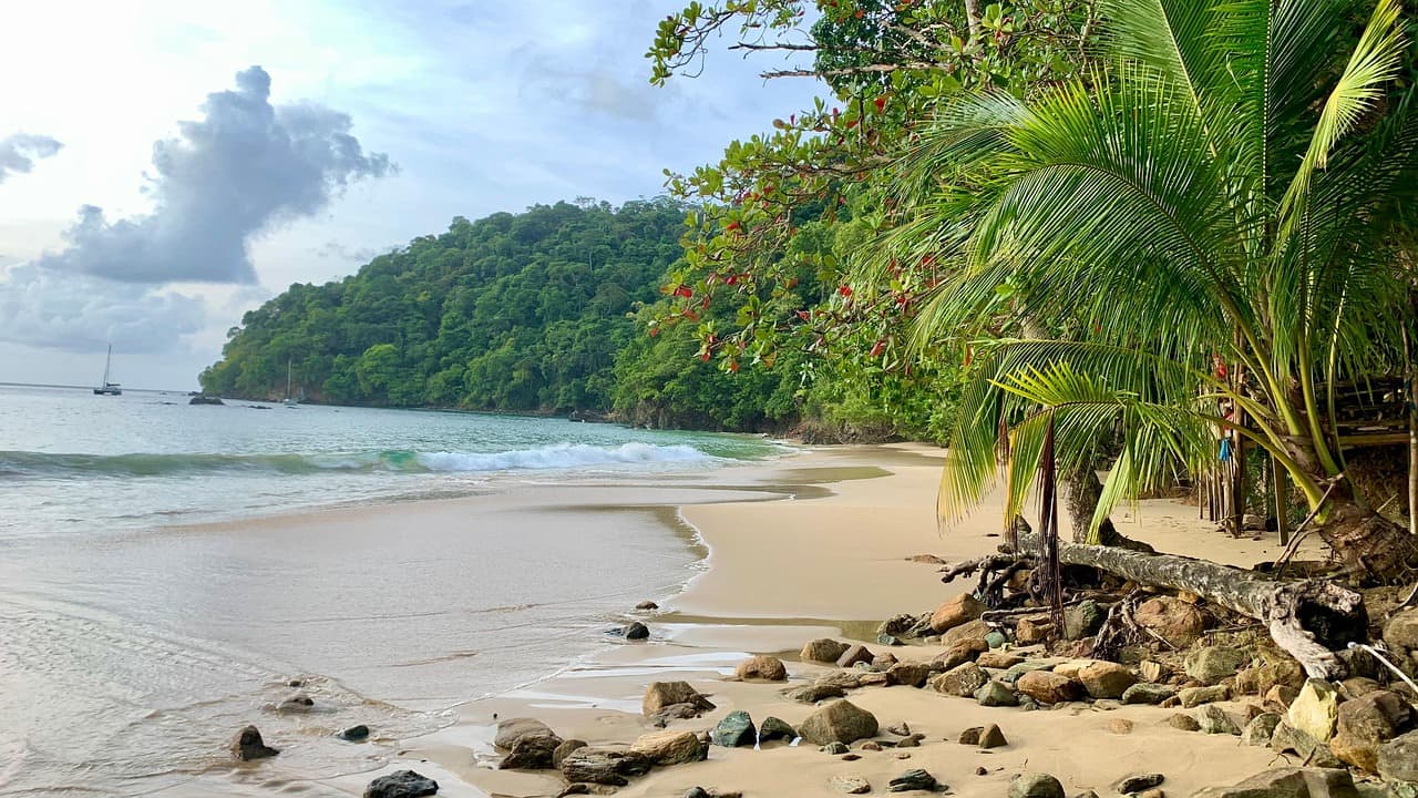 Road Signs of Trinidad & Tobago: The Complete Guide with Meanings