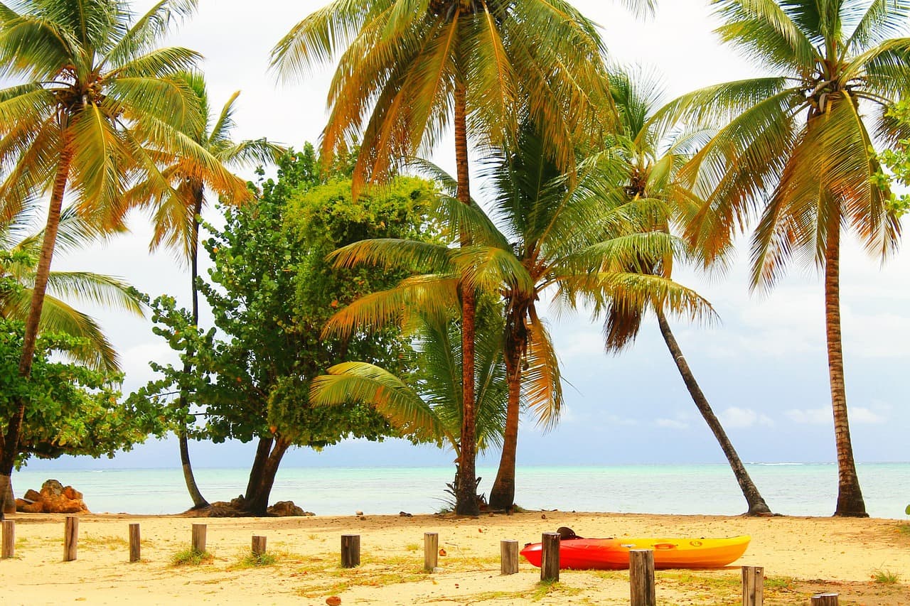 The Trinidad & Tobago Demerit Points System Explained