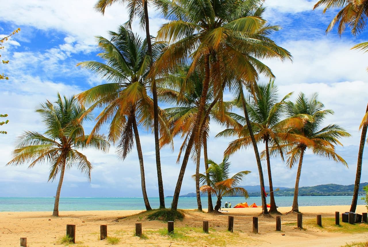 Trinidad & Tobago Road Rules: Speed Limits, Roundabouts & Drink-Driving