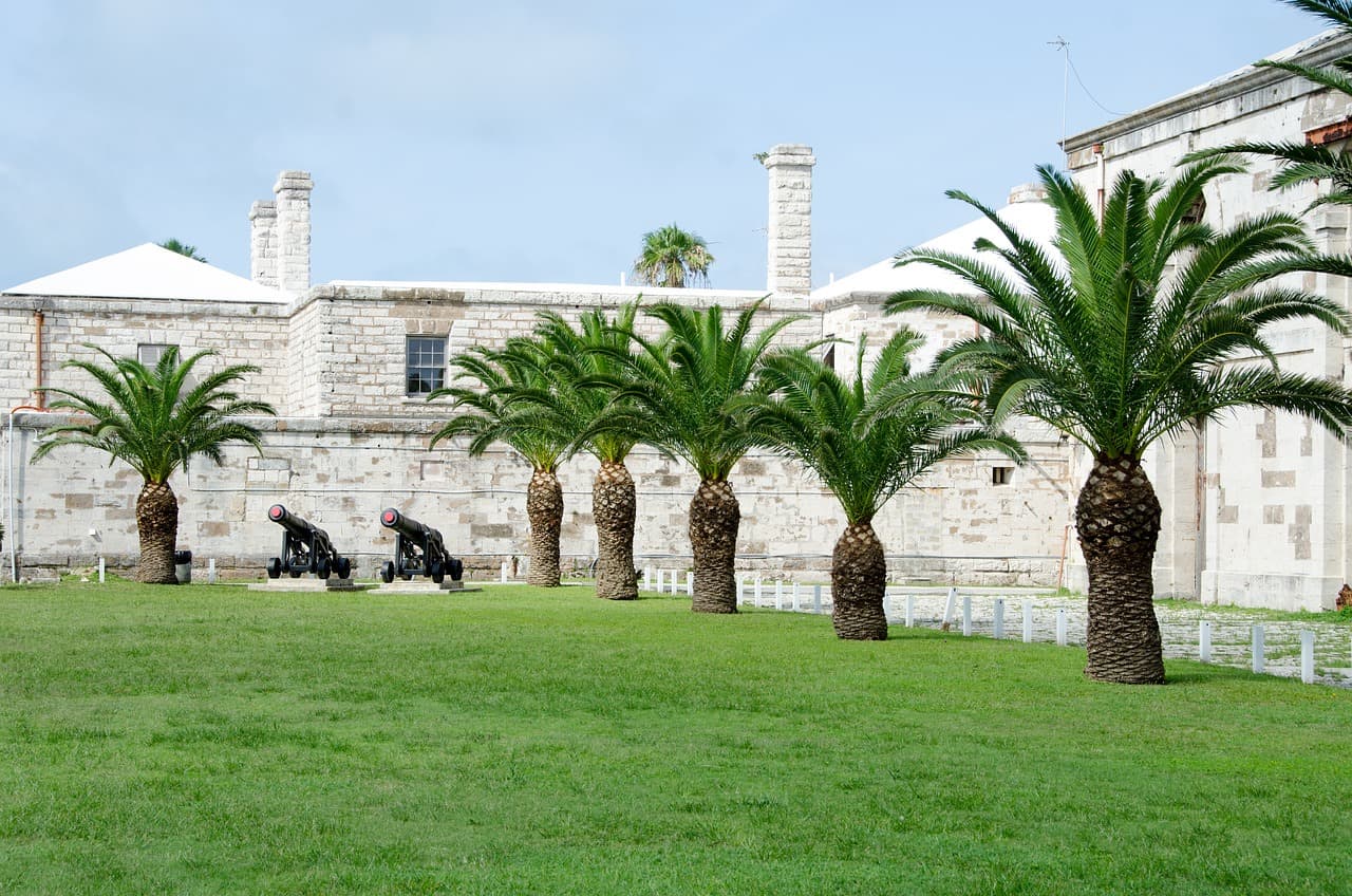 Bermuda Driving Test Questions and Answers: How to Pass the TCD Written Exam (2026)