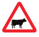 Cattle