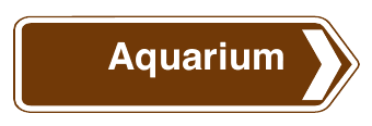 Direction and distance to a tourist attraction