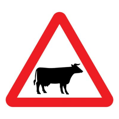 Domestic Animals